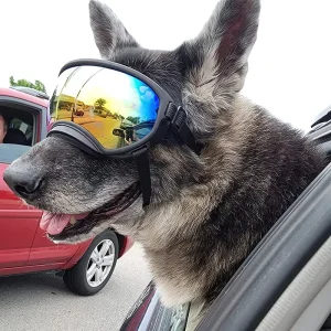 Dog Goggles Anti-UV Sun Glasses Eyewear Protection
