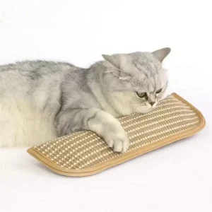 Catnip Filled Chewing Toy