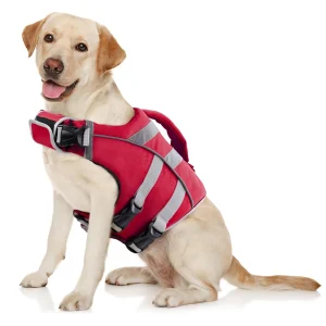 Waterproof Dog Life Jacket with Reflective Stripes