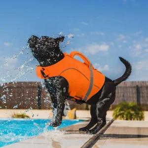 Durable Mesh Dog Life Jacket